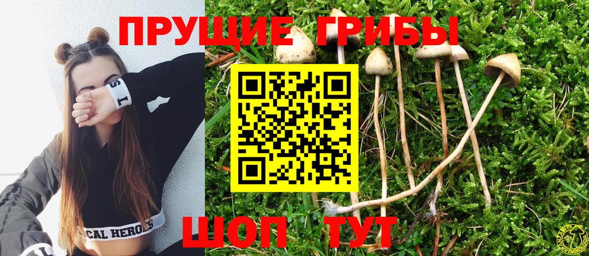 Галлюциногенные грибы MAGIC MUSHROOMS  Псилоцибиновые грибы Cubensis  закладка  Рославль  Вход с VPN 